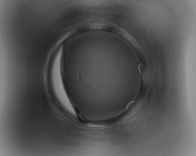 X0000094340722200711162009