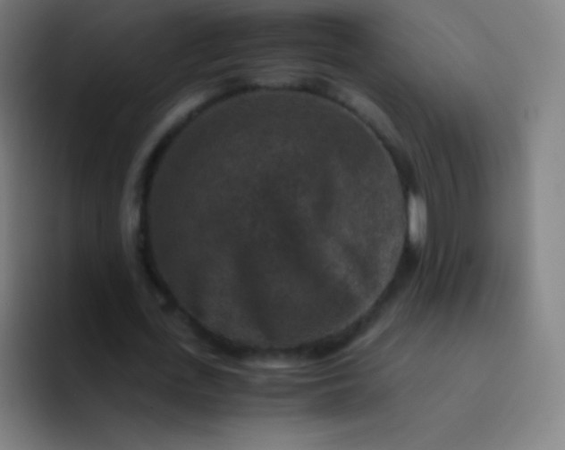 X0000094340723200711162009