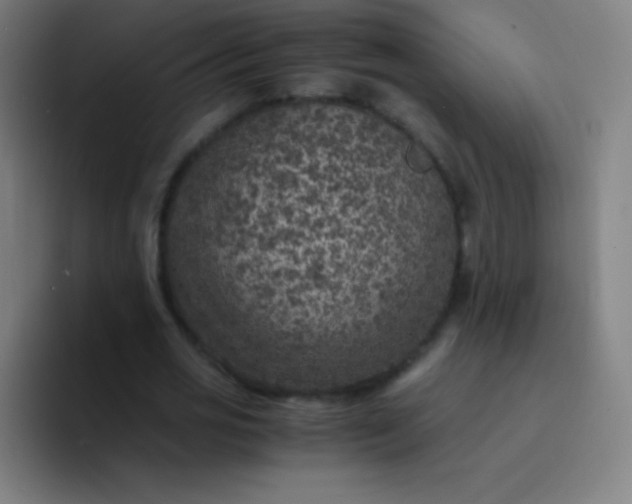 X0000094340725200711162009