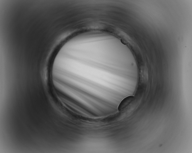 X0000094340726200711162009