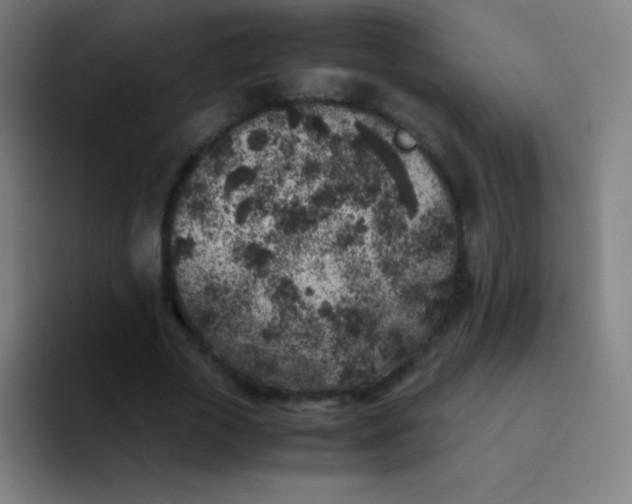 X0000094340729200711162009