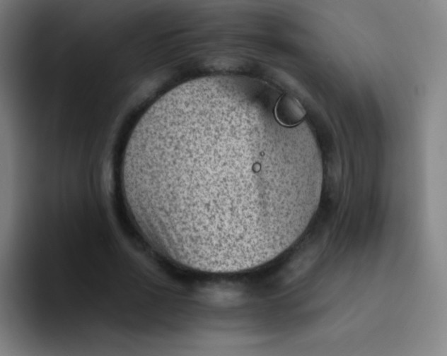 X0000094340734200711162009