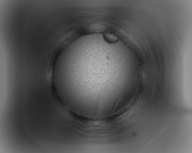 X0000094340745200711162009