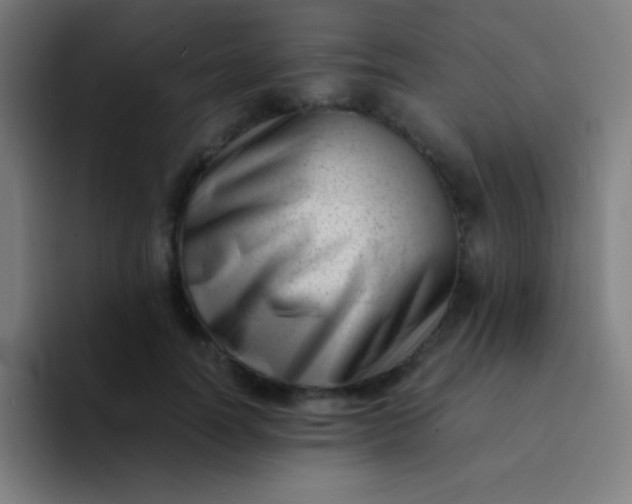 X0000094340746200711162009