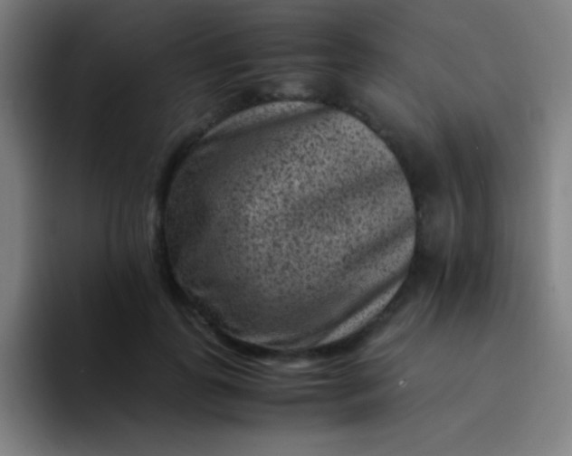 X0000094340747200711162009