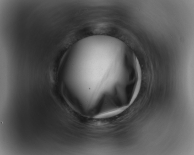 X0000094340755200711162009