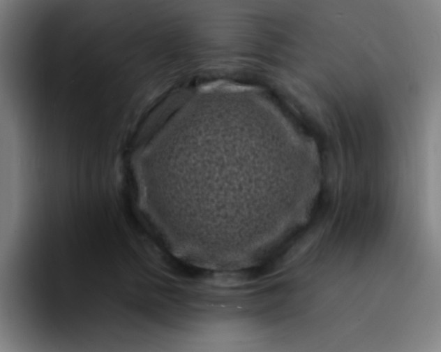 X0000094340758200711162010