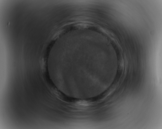 X0000094340759200711162010