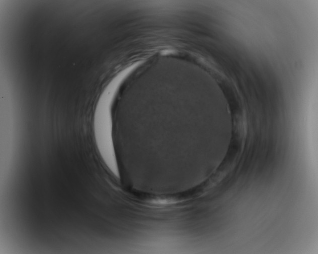 X0000094340760200711162010