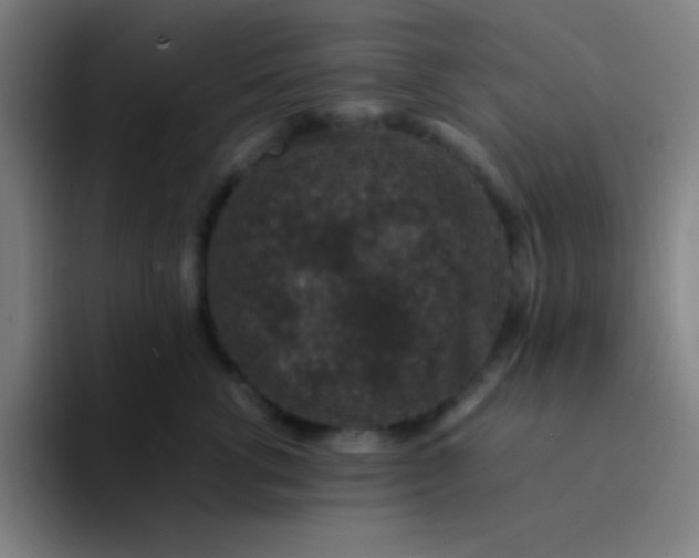 X0000094340762200711162010