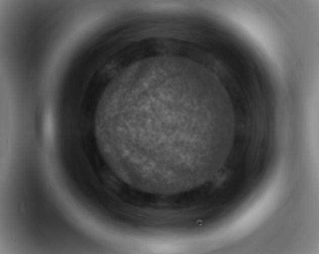 X0000094340765200711162010