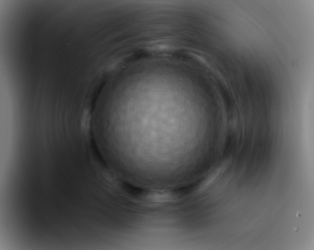 X0000094340767200711162010