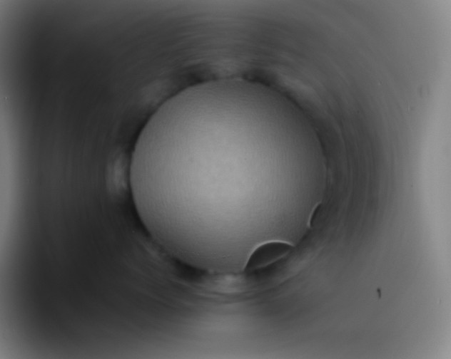 X0000094340768200711162010