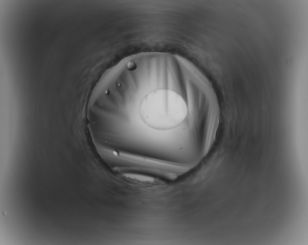 X0000094340769200711162009