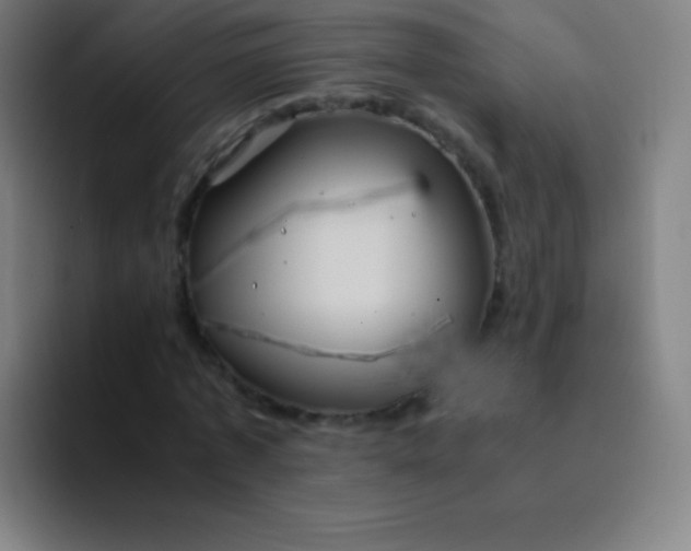 X0000094340773200711162009