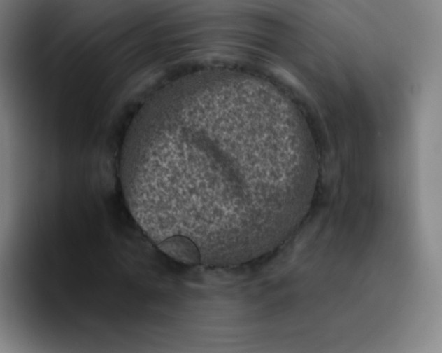 X0000094340774200711162009