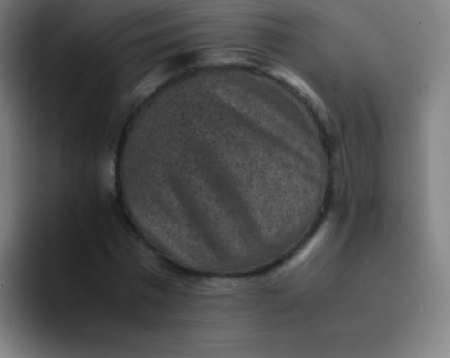 X0000094340777200711162009