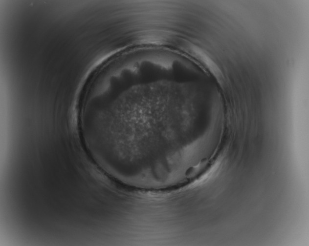 X0000094340779200711162009