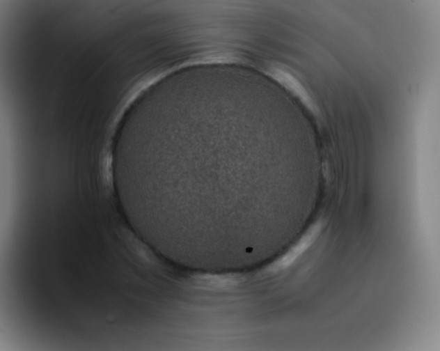 X0000094340781200711162009