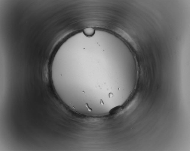 X0000094340782200711162009