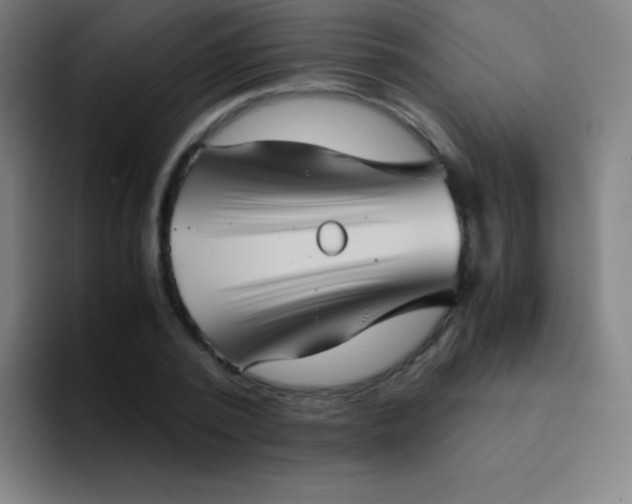 X0000094340784200711162009