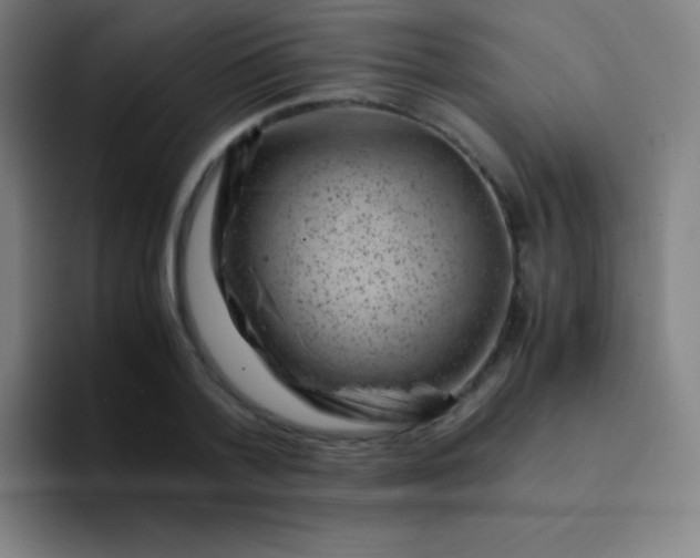 X0000094340788200711162009