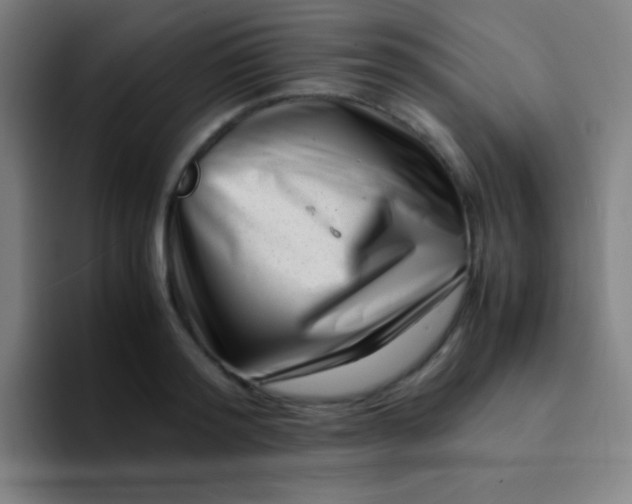 X0000094340796200711162009