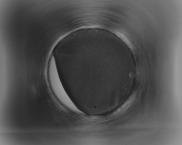 X0000094340797200711162009