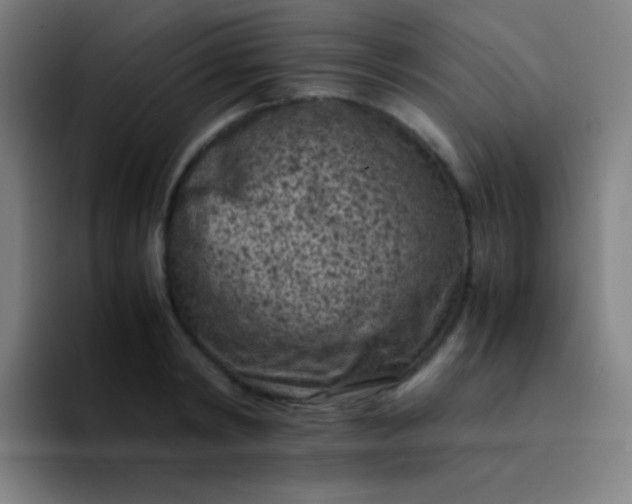 X0000094340798200711162009