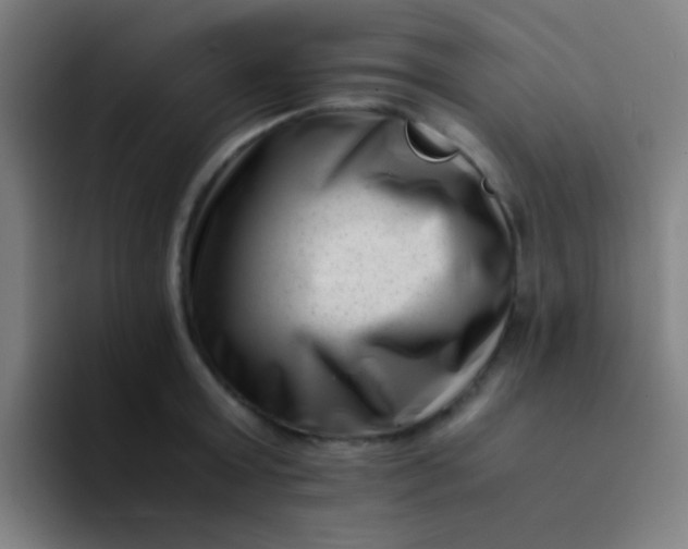 X0000094340803200711162009