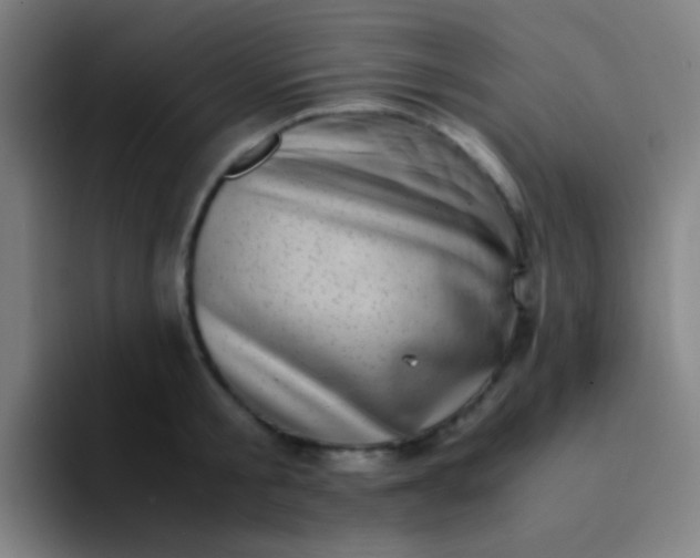 X0000094340805200711162009