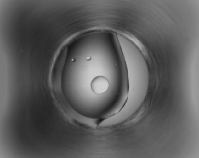 X0000094340807200711162009