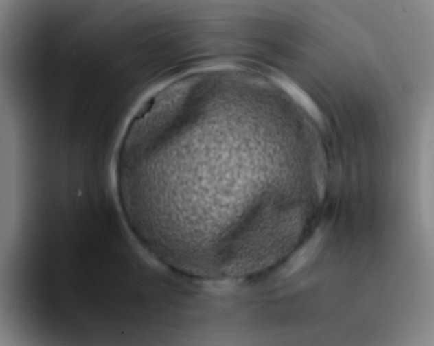 X0000094340813200711162008