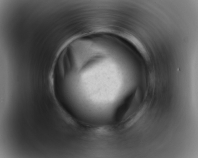 X0000094340814200711162008