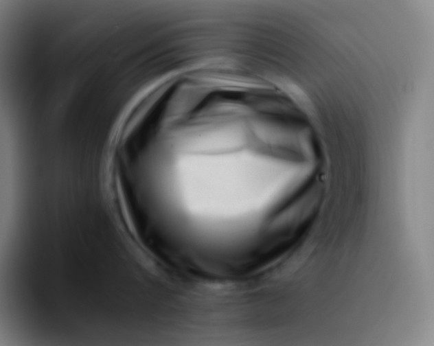 X0000094340816200711162008