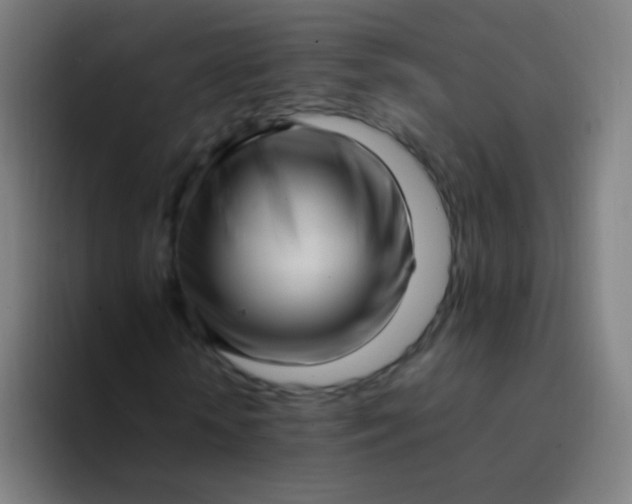 X0000094340818200711162008