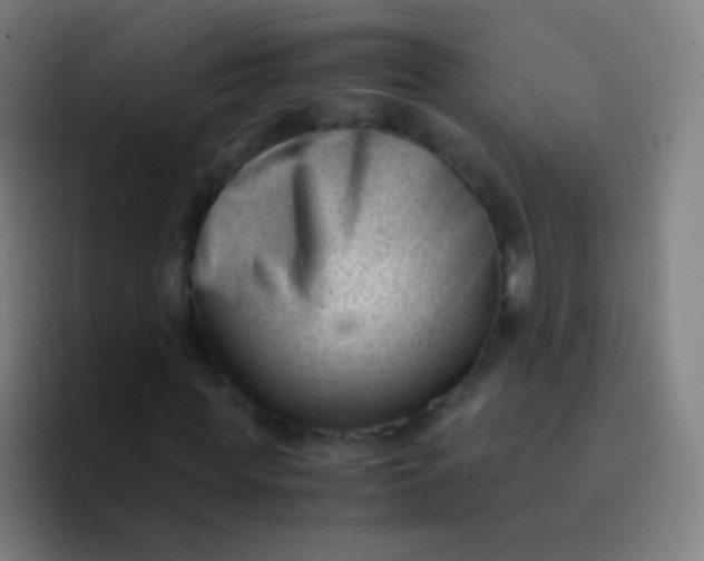 X0000094340819200711162008