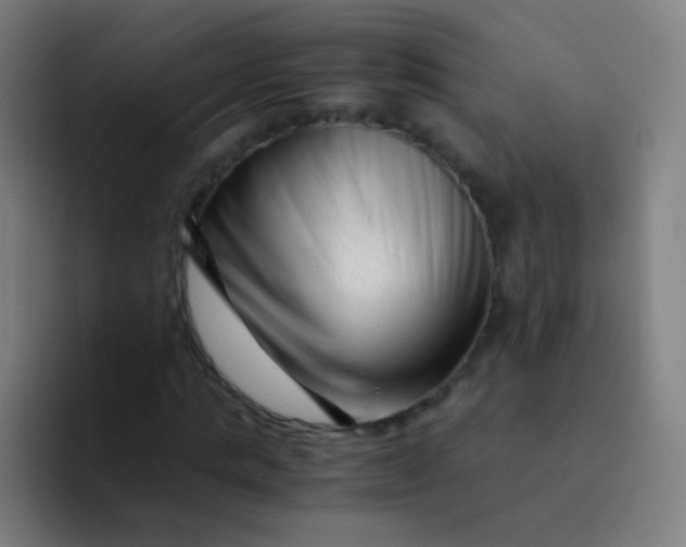 X0000094340821200711162008