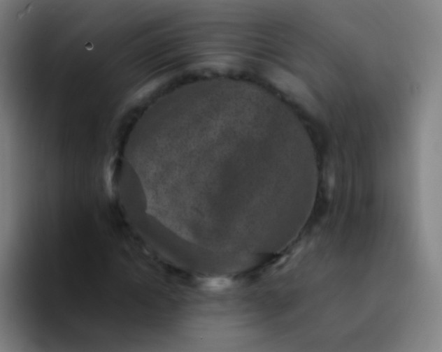 X0000094340822200711162008