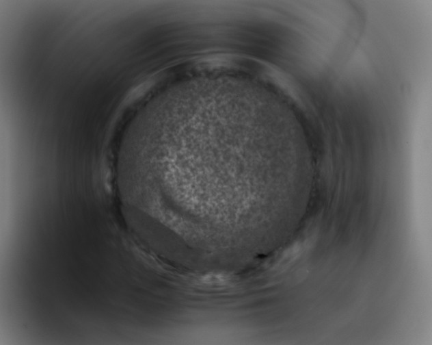 X0000094340823200711162008