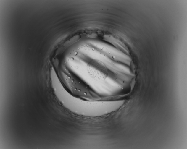 X0000094340824200711162008