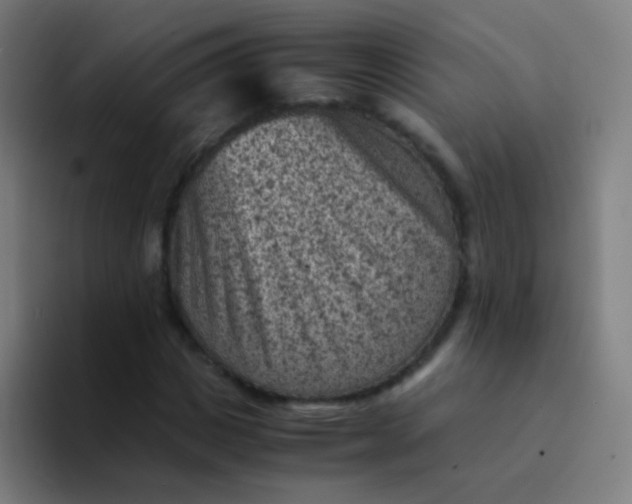 X0000094340825200711162008