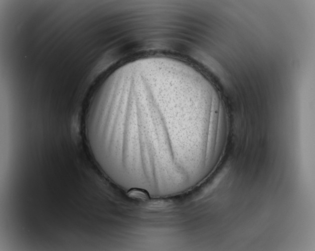 X0000094340826200711162008