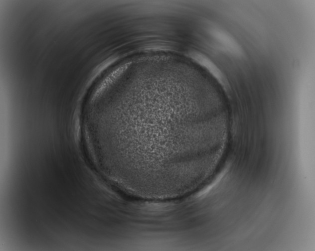 X0000094340829200711162008