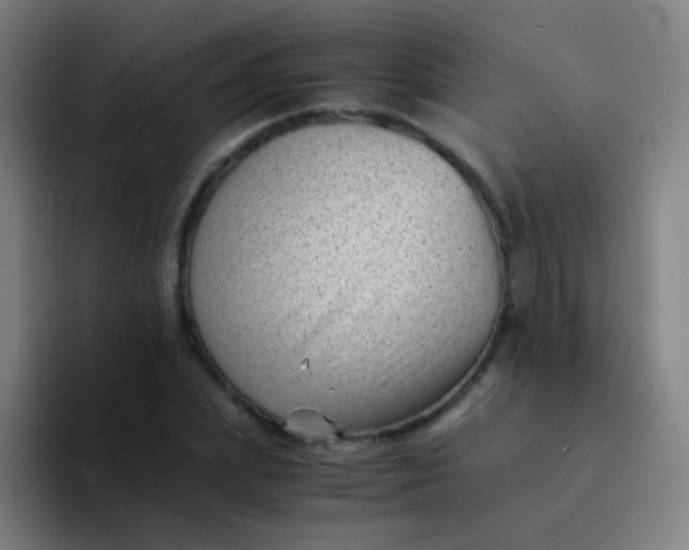 X0000094340831200711162008