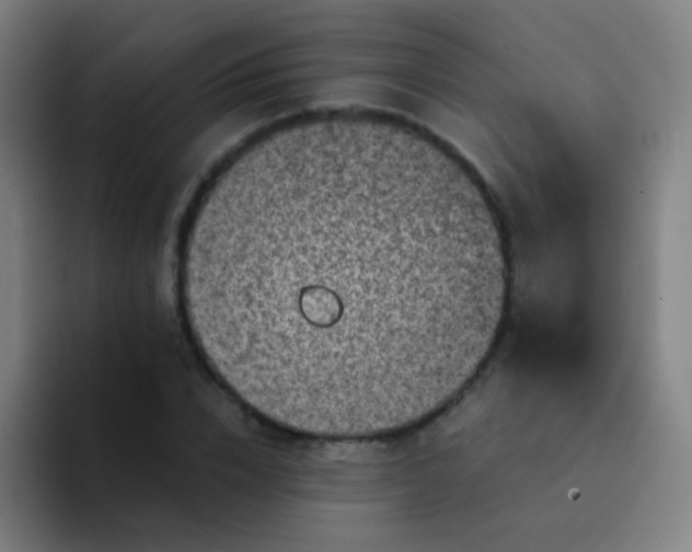 X0000094340832200711162008