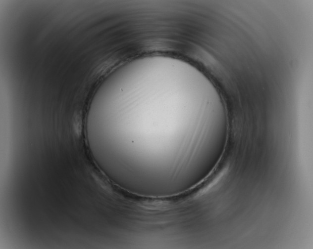 X0000094340833200711162008