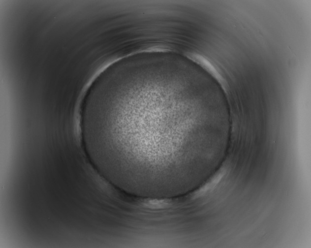 X0000094340835200711162008