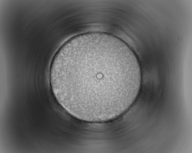 X0000094340836200711162008