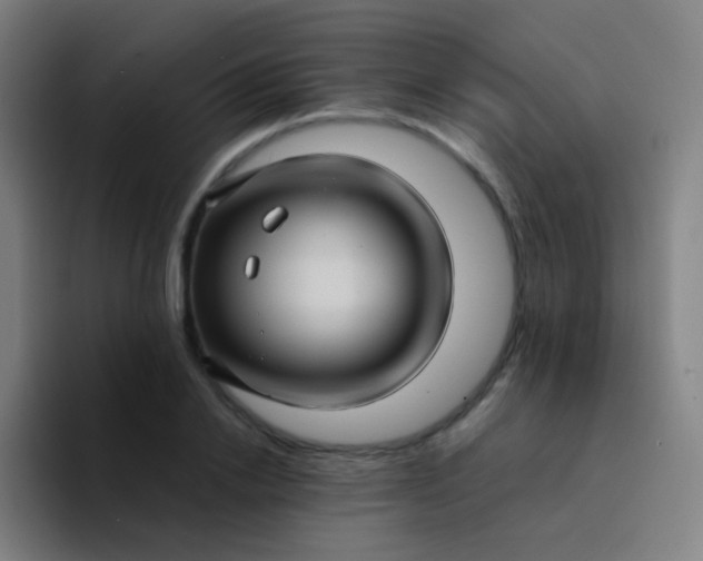 X0000094340838200711162008